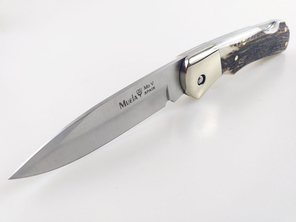 ⭐︎Michael Raucheisen 66CDセット Muela BX-8A Knife