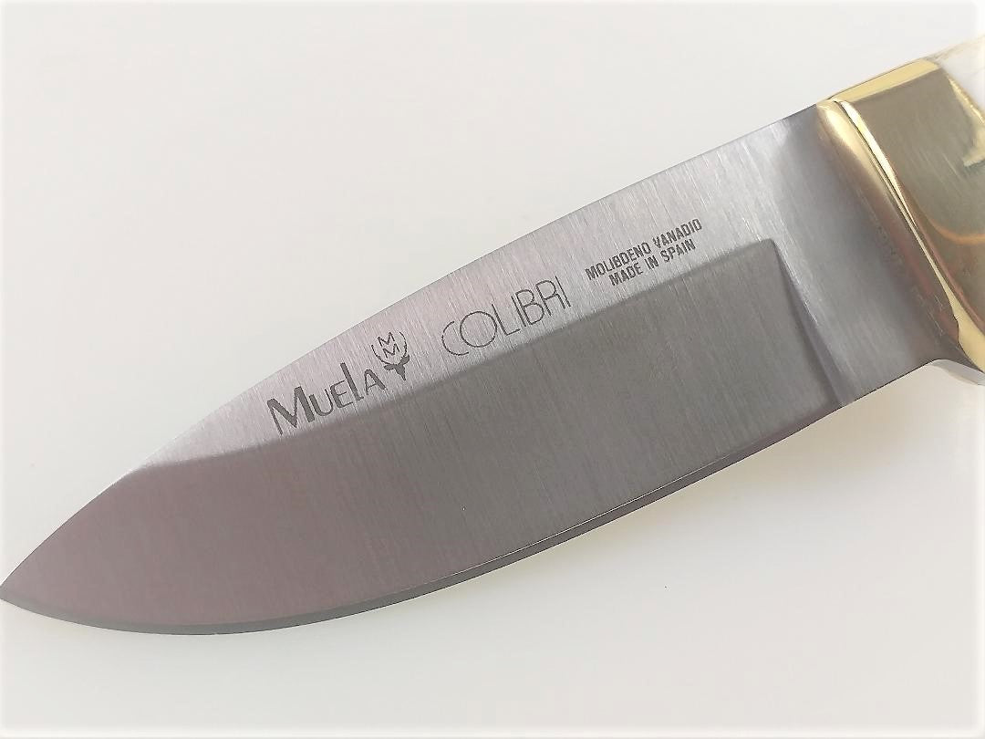 Coltello Colibri Damasco di Muela ⚔️ Negozio Medievale