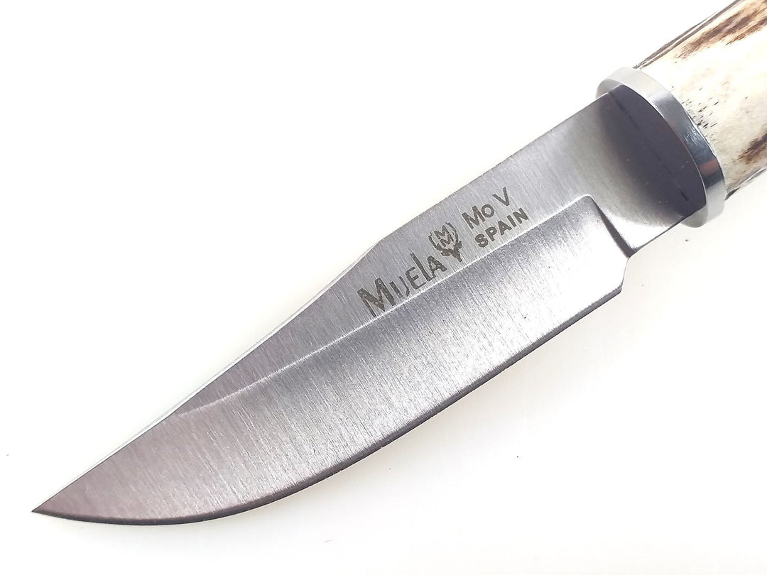 Muela BW-6A Bowie Knife