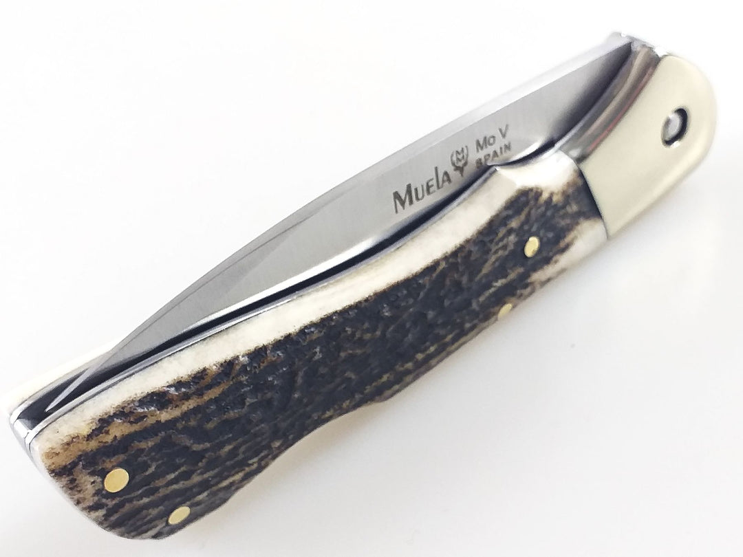 Muela BX-8A Knife