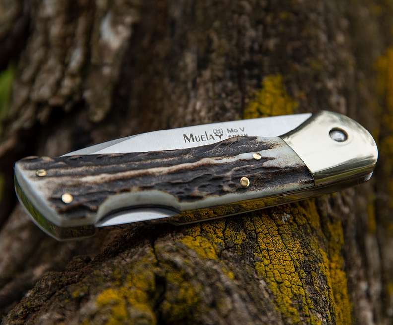 Muela BX-8A Knife