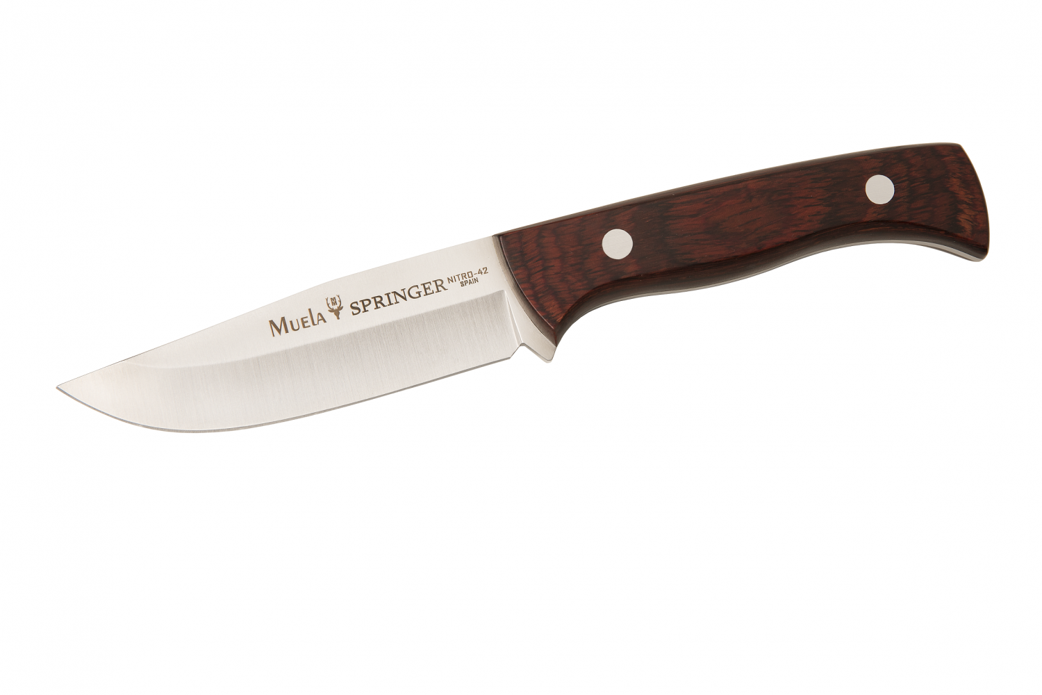 Nuevo cuchillos Muela Enterizo SPRINGER-11R