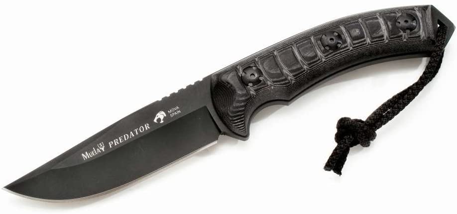 Muela Knives for Sale  Upto 36% off on All in stock